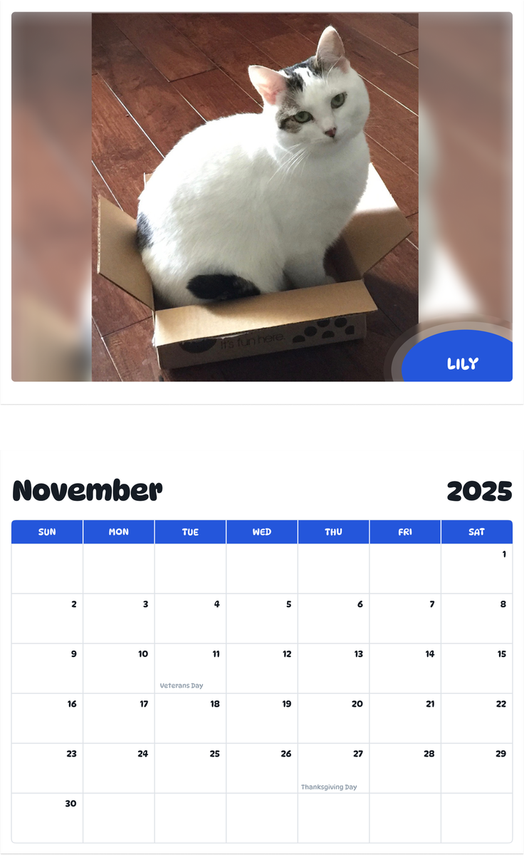 July 2025 - June 2026 Lily - Pawidols Pet Calendar