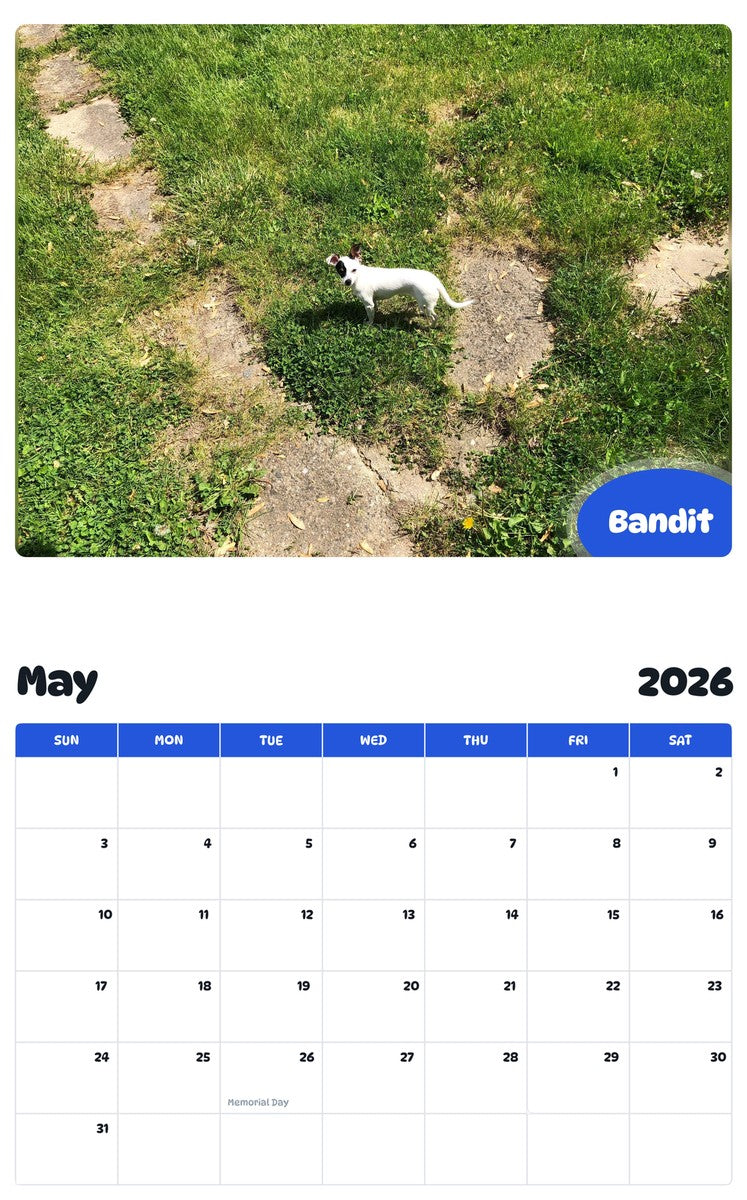 2026 - 2027 Bandit - Pawidols Pet Calendar