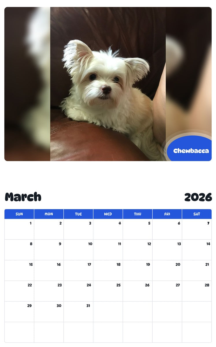 November 2025 - October 2026 Chewbacca - Pawidols Pet Calendar