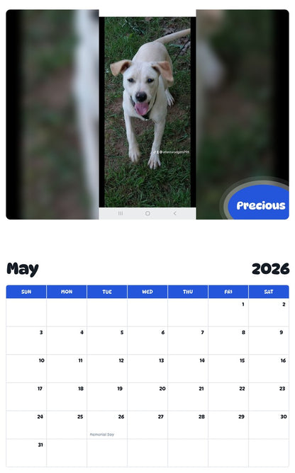 2026 - 2027 Precious - Pawidols Pet Calendar