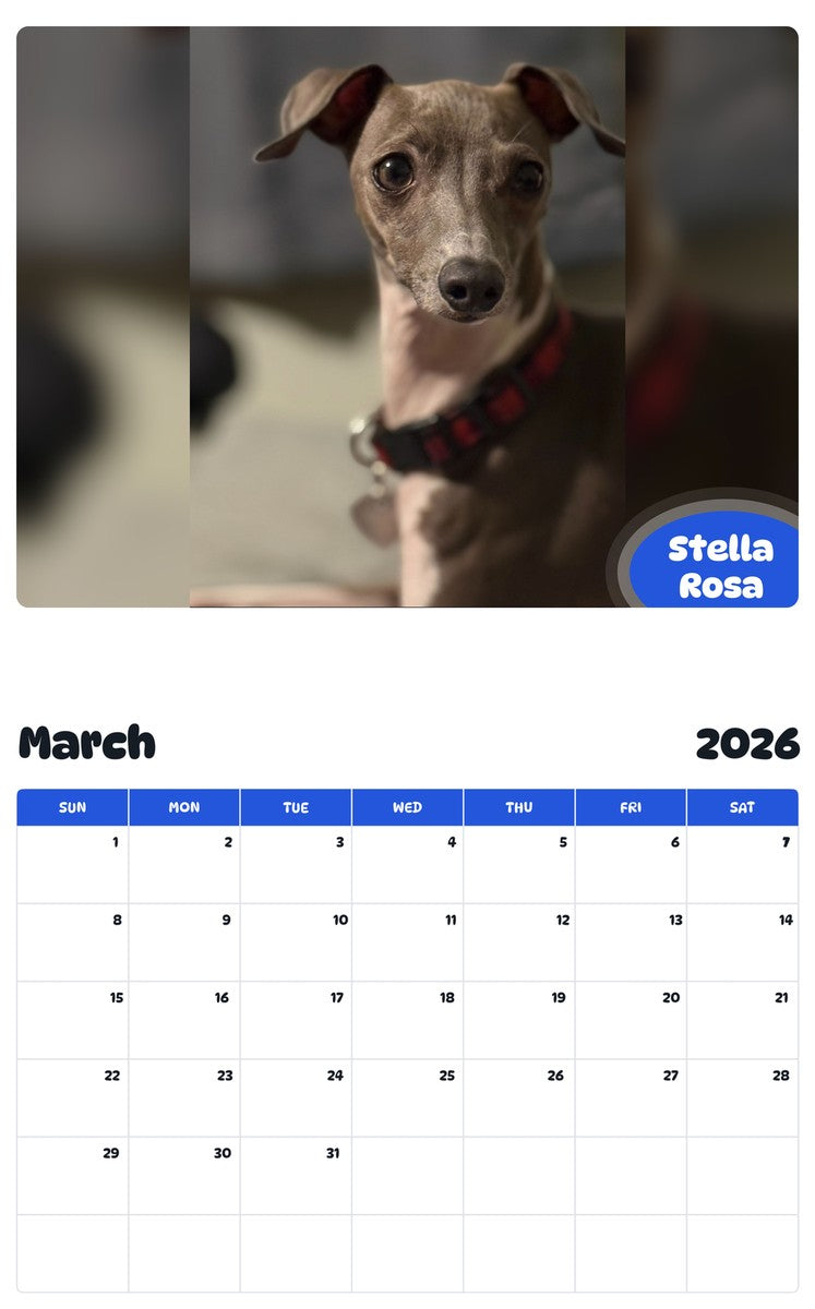 November 2025 - October 2026 Stella Rosa - Pawidols Pet Calendar
