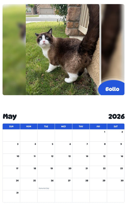 2026 - 2027 Bollo - Pawidols Pet Calendar