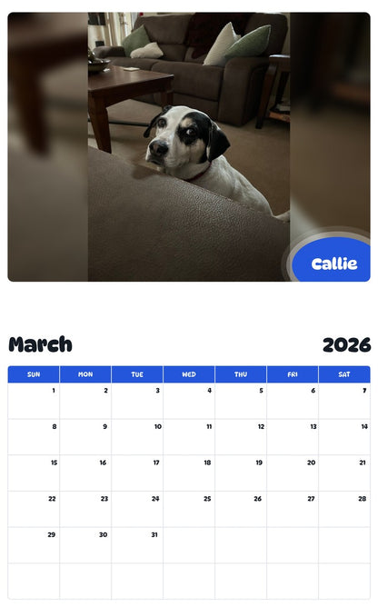 November 2025 - October 2026 Callie - Pawidols Pet Calendar