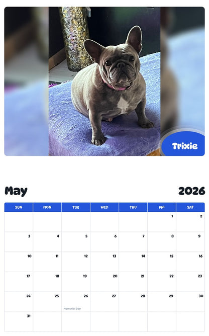 2026 - 2027 Trixie - Pawidols Pet Calendar