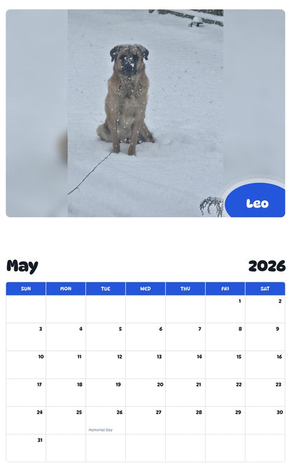 2026 - 2027 Leo - Pawidols Pet Calendar