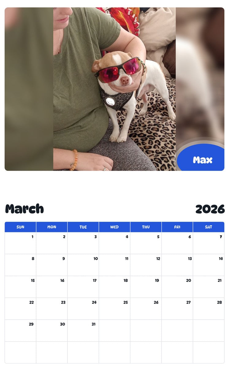 November 2025 - October 2026 Max - Pawidols Pet Calendar