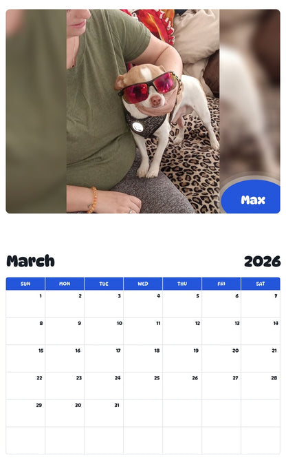 November 2025 - October 2026 Max - Pawidols Pet Calendar