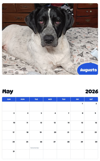 2026 - 2027 Augusta - Pawidols Pet Calendar
