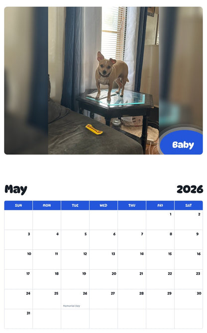 2026 - 2027 Baby - Pawidols Pet Calendar