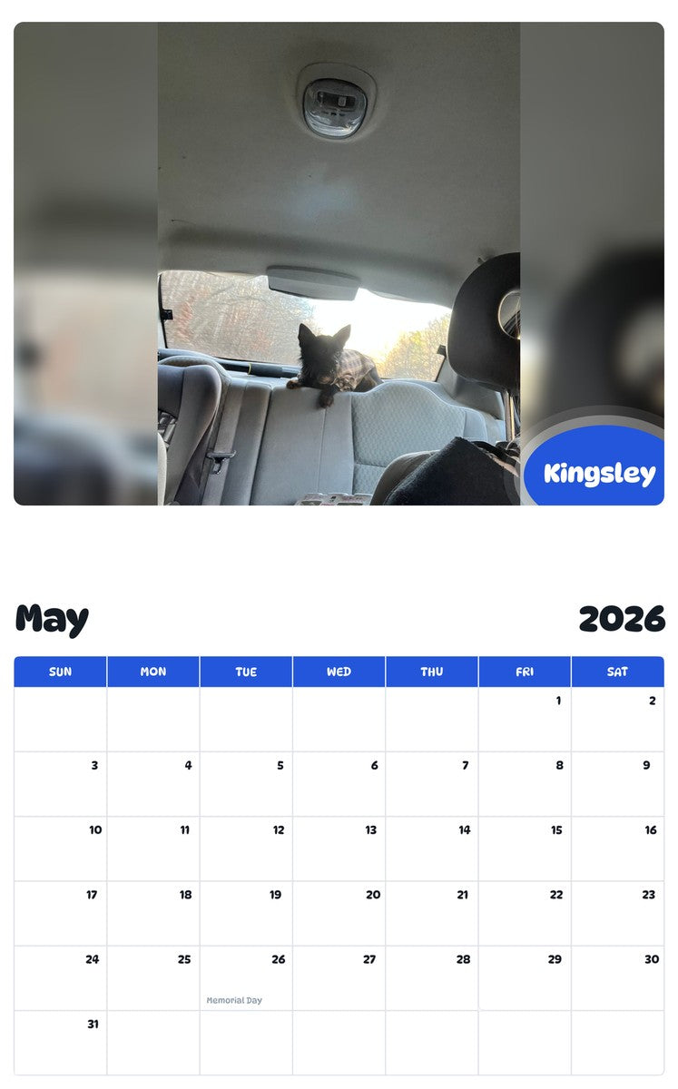 2026 - 2027 Kingsley - Pawidols Pet Calendar