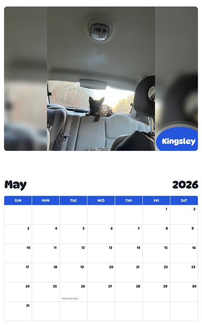 2026 - 2027 Kingsley - Pawidols Pet Calendar