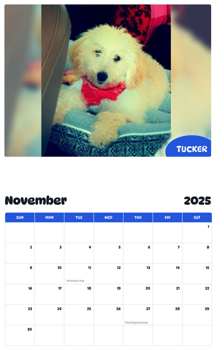 July 2025 - June 2026 Tucker - Pawidols Pet Calendar