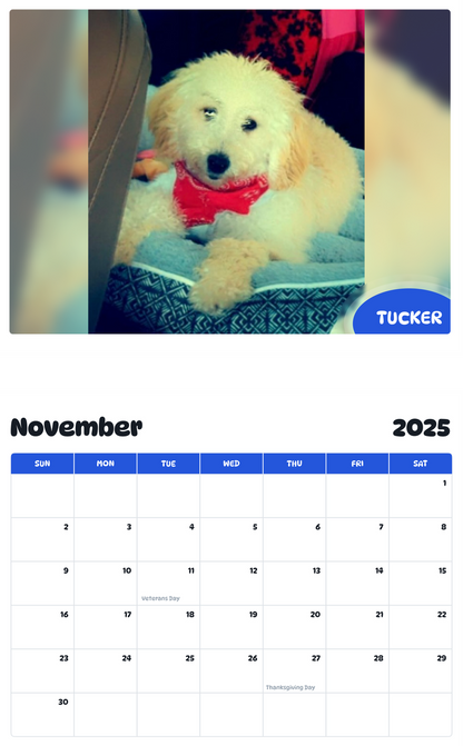 July 2025 - June 2026 Tucker - Pawidols Pet Calendar