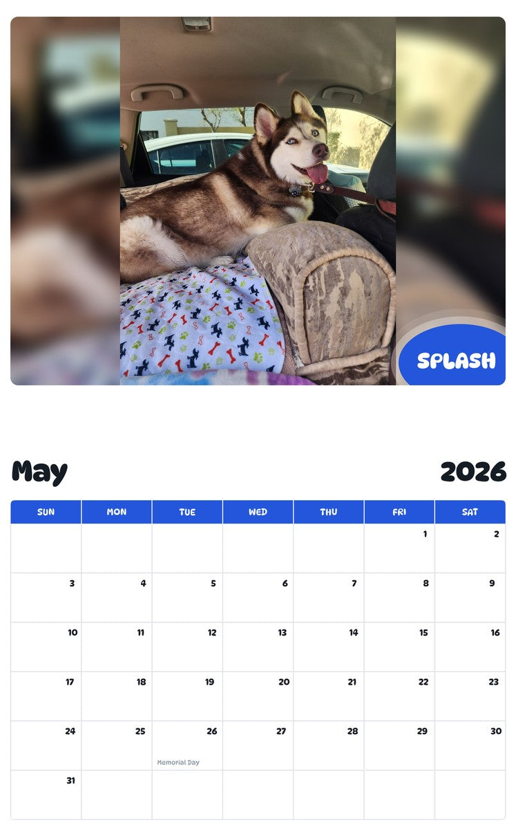 2026 - 2027 SPLASH - Pawidols Pet Calendar