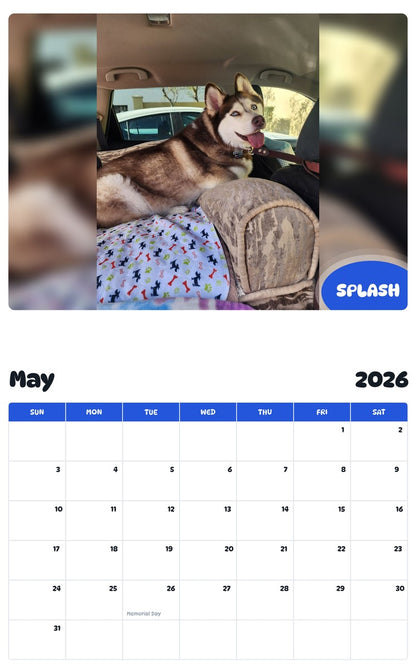 2026 - 2027 SPLASH - Pawidols Pet Calendar