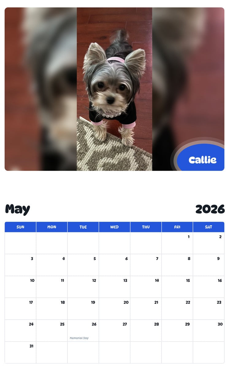2026 - 2027 Callie - Pawidols Pet Calendar