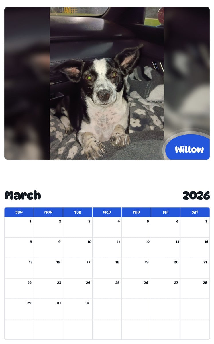 November 2025 - October 2026 Willow - Pawidols Pet Calendar