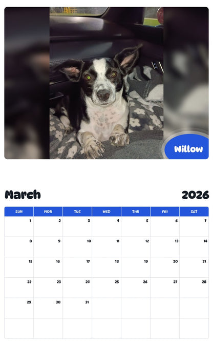 November 2025 - October 2026 Willow - Pawidols Pet Calendar
