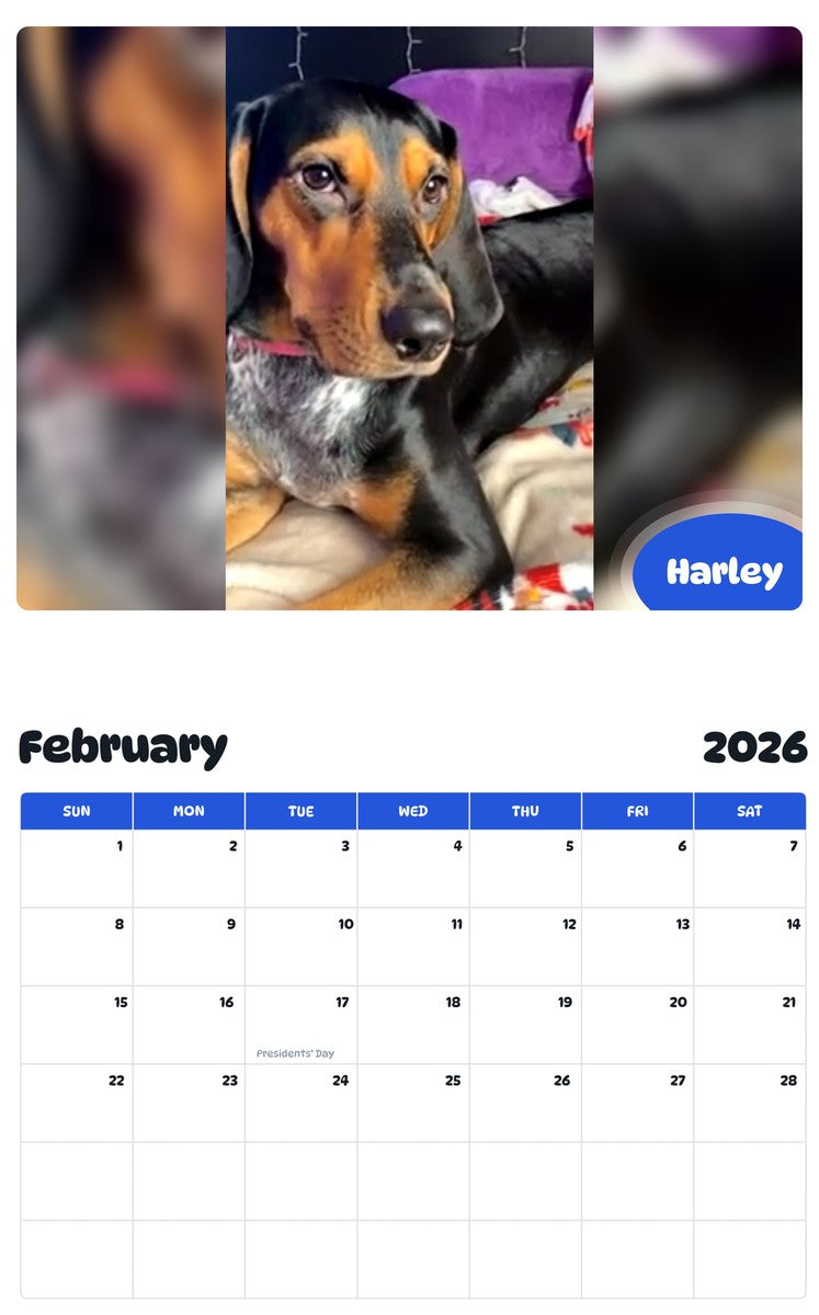 October 2025 - September 2026 Harley - Pawidols Pet Calendar