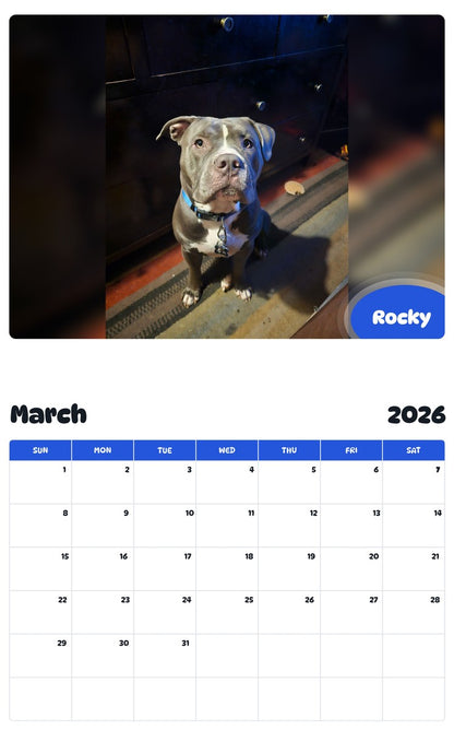 November 2025 - October 2026 Rocky - Pawidols Pet Calendar