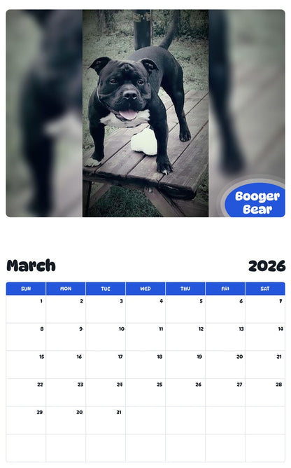 November 2025 - October 2026 Booger Bear - Pawidols Pet Calendar