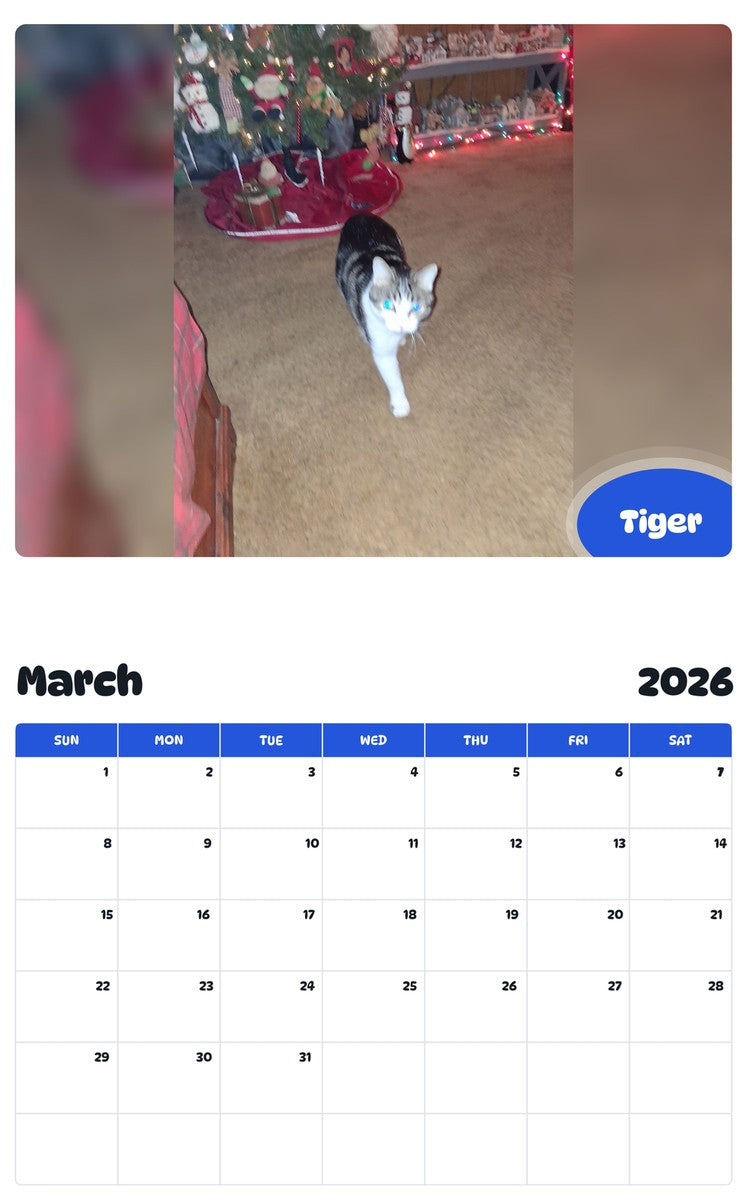 November 2025 - October 2026 Tiger - Pawidols Pet Calendar