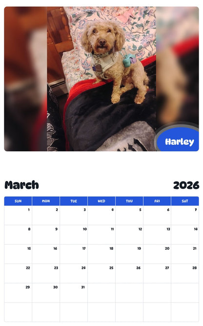 November 2025 - October 2026 Harley - Pawidols Pet Calendar