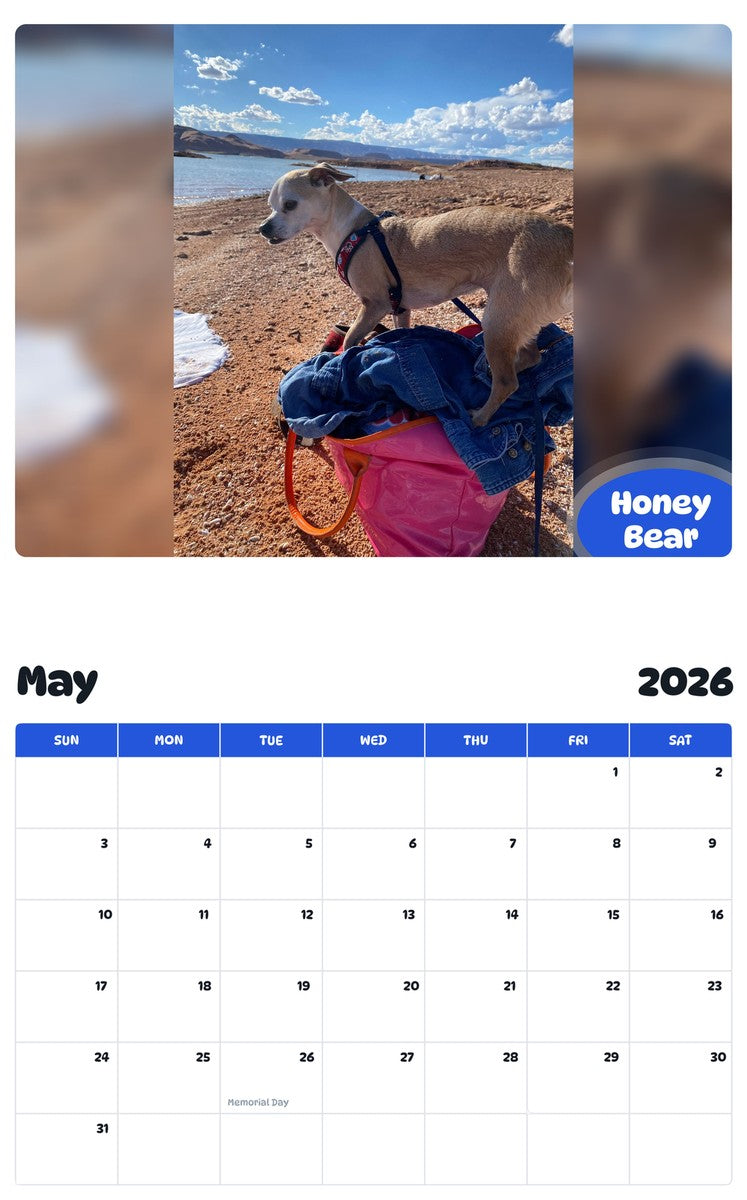 2026 - 2027 Honey Bear - Pawidols Pet Calendar