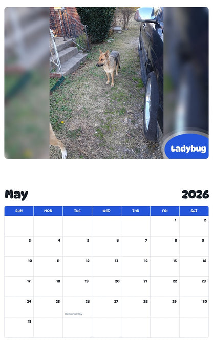 2026 - 2027 Ladybug - Pawidols Pet Calendar