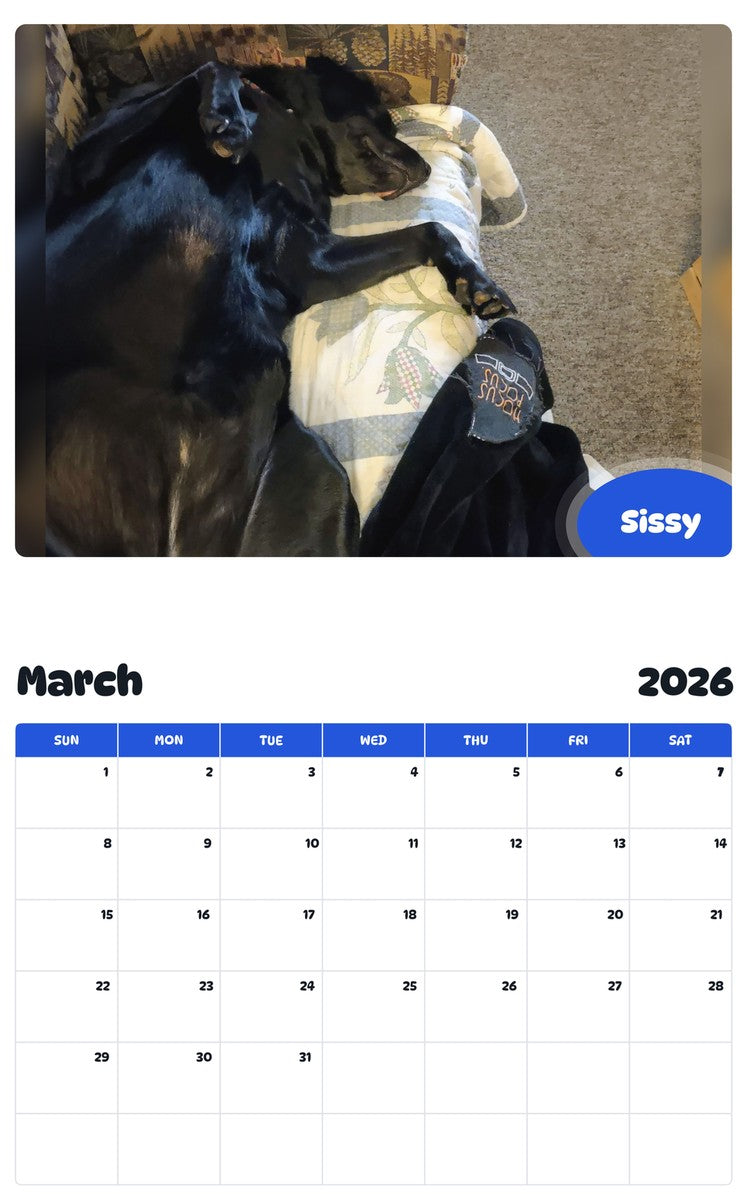 November 2025 - October 2026 Sissy - Pawidols Pet Calendar