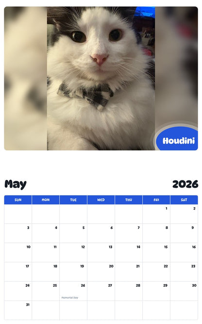 2026 - 2027 Houdini - Pawidols Pet Calendar