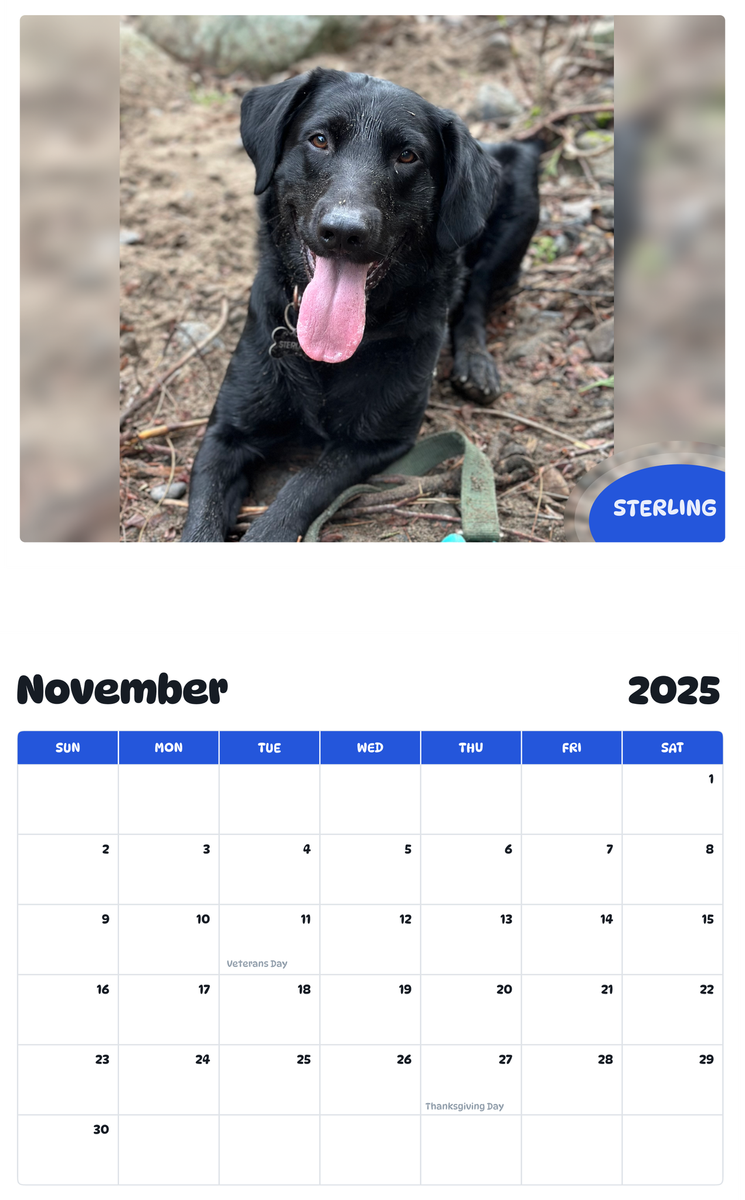July 2025 - June 2026 Sterling - Pawidols Pet Calendar