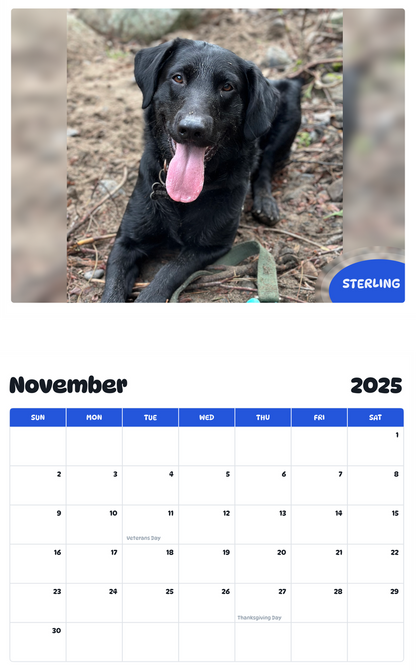 July 2025 - June 2026 Sterling - Pawidols Pet Calendar