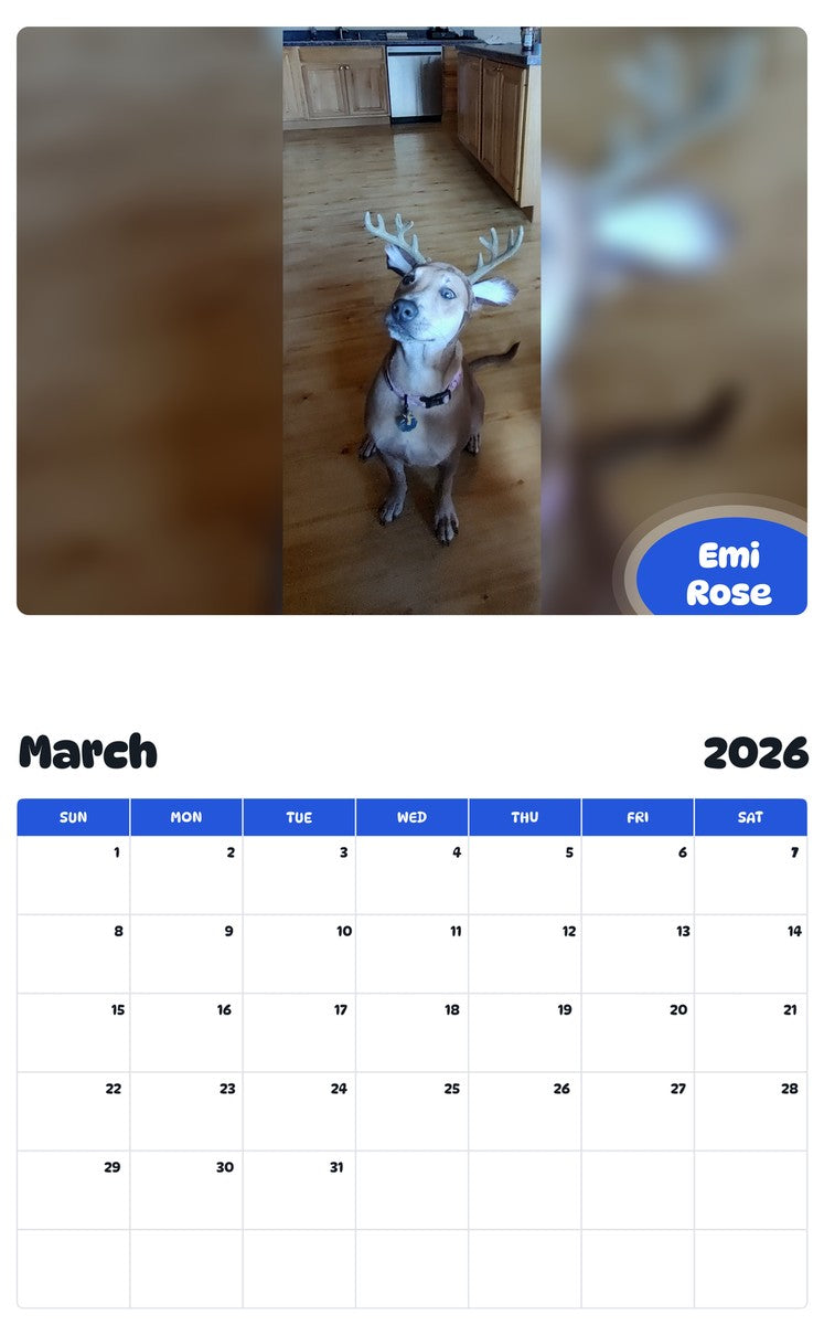 November 2025 - October 2026 Emi Rose - Pawidols Pet Calendar