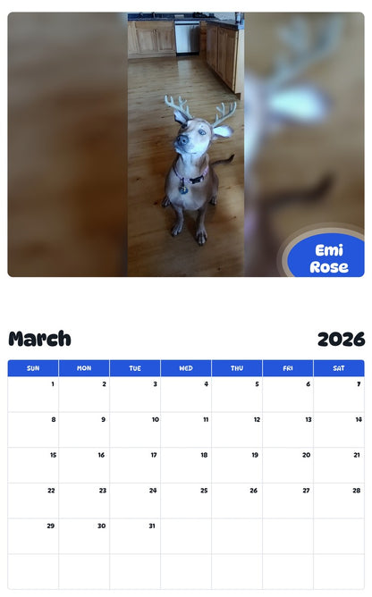 November 2025 - October 2026 Emi Rose - Pawidols Pet Calendar