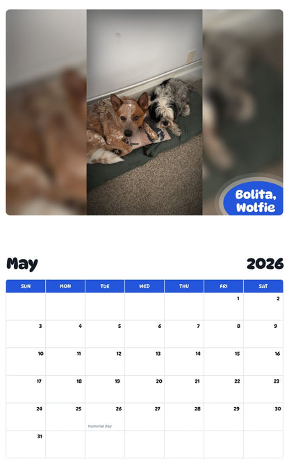 2026 - 2027 Bolita, Wolfie - Pawidols Pet Calendar