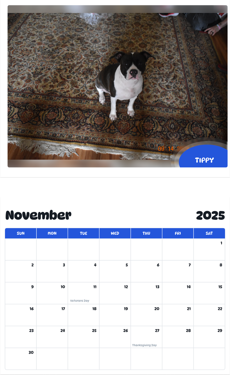 July 2025 - June 2026 tippy - Pawidols Pet Calendar