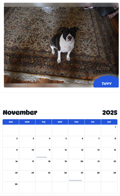 July 2025 - June 2026 tippy - Pawidols Pet Calendar