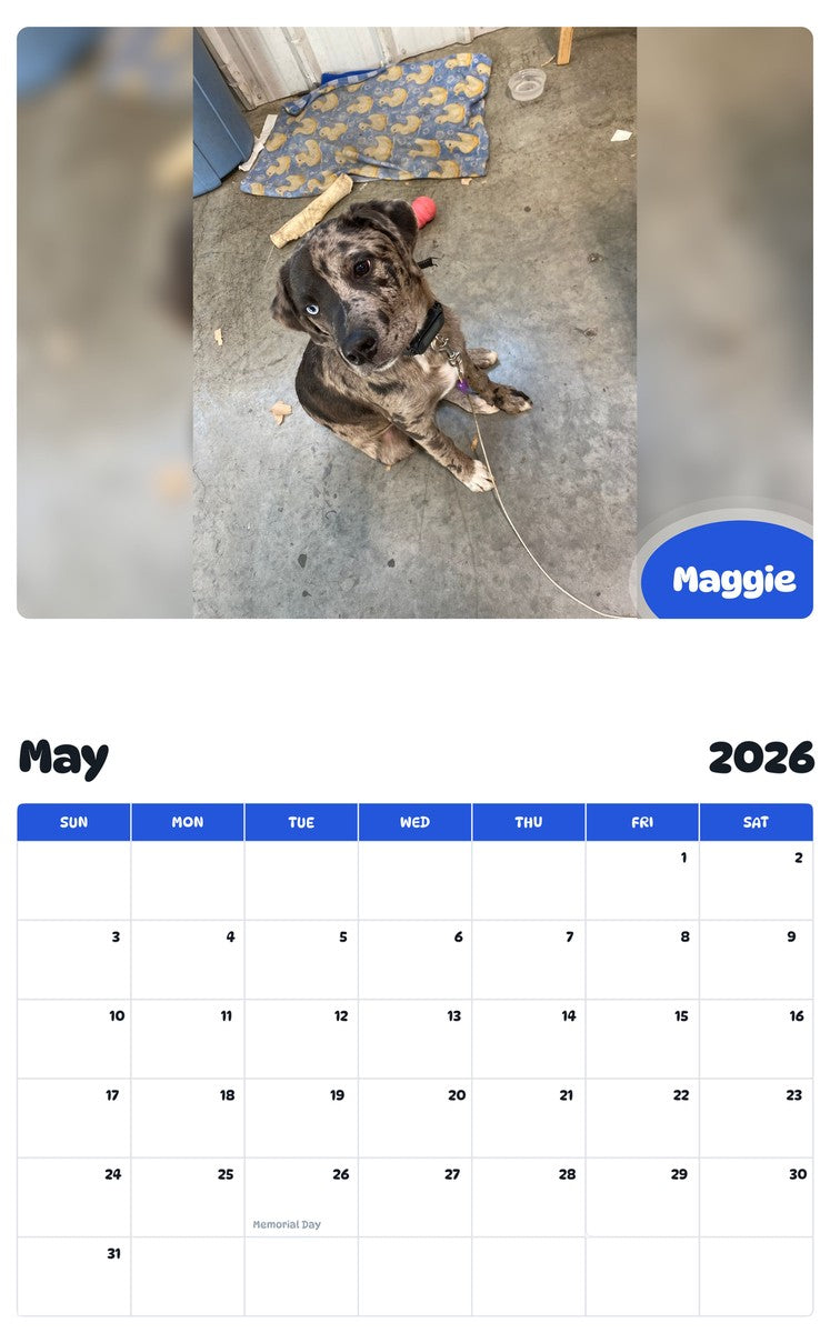 2026 - 2027 Maggie - Pawidols Pet Calendar