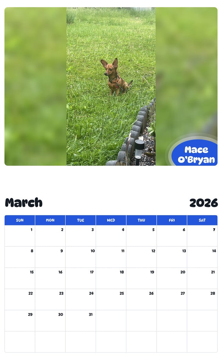 November 2025 - October 2026 Mace O’Bryan - Pawidols Pet Calendar