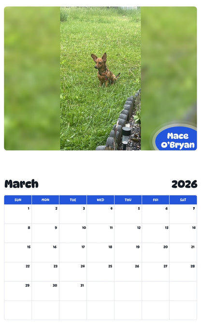 November 2025 - October 2026 Mace O’Bryan - Pawidols Pet Calendar
