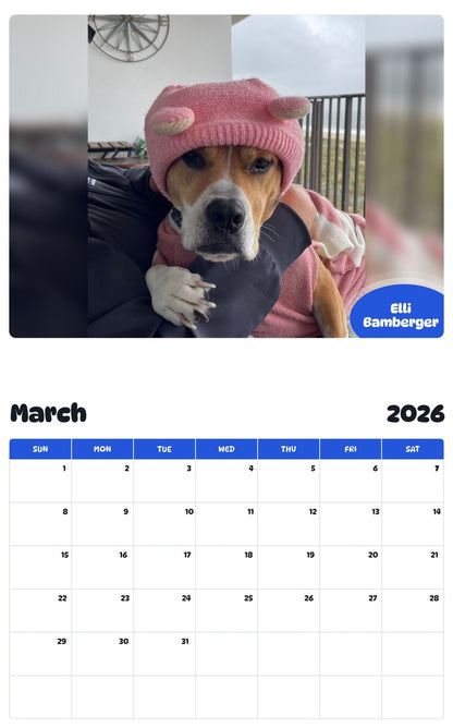 November 2025 - October 2026 Elli Bamberger - Pawidols Pet Calendar