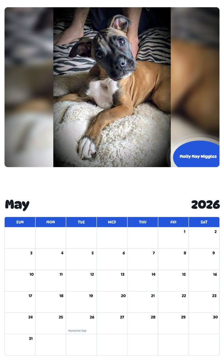 2026 - 2027 Molly May Wiggles - Pawidols Pet Calendar