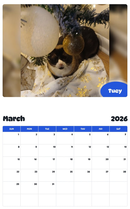 November 2025 - October 2026 Tuey - Pawidols Pet Calendar