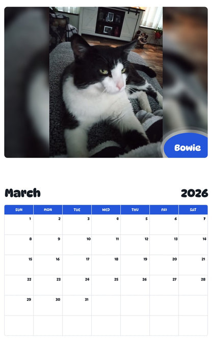 November 2025 - October 2026 Bowie - Pawidols Pet Calendar