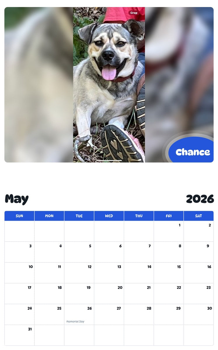2026 - 2027 Chance - Pawidols Pet Calendar