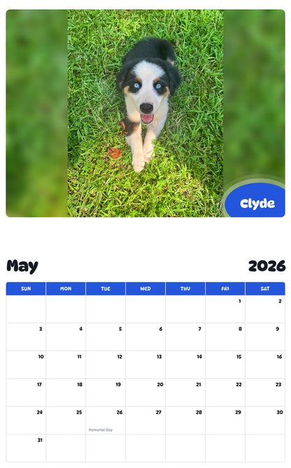2026 - 2027 Clyde - Pawidols Pet Calendar