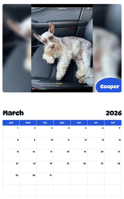 November 2025 - October 2026 Cooper - Pawidols Pet Calendar
