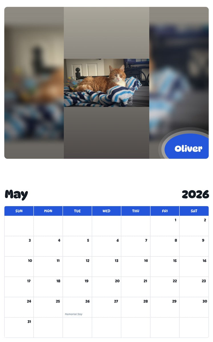 2026 - 2027 Oliver - Pawidols Pet Calendar