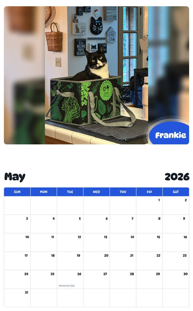 2026 - 2027 Frankie - Pawidols Pet Calendar